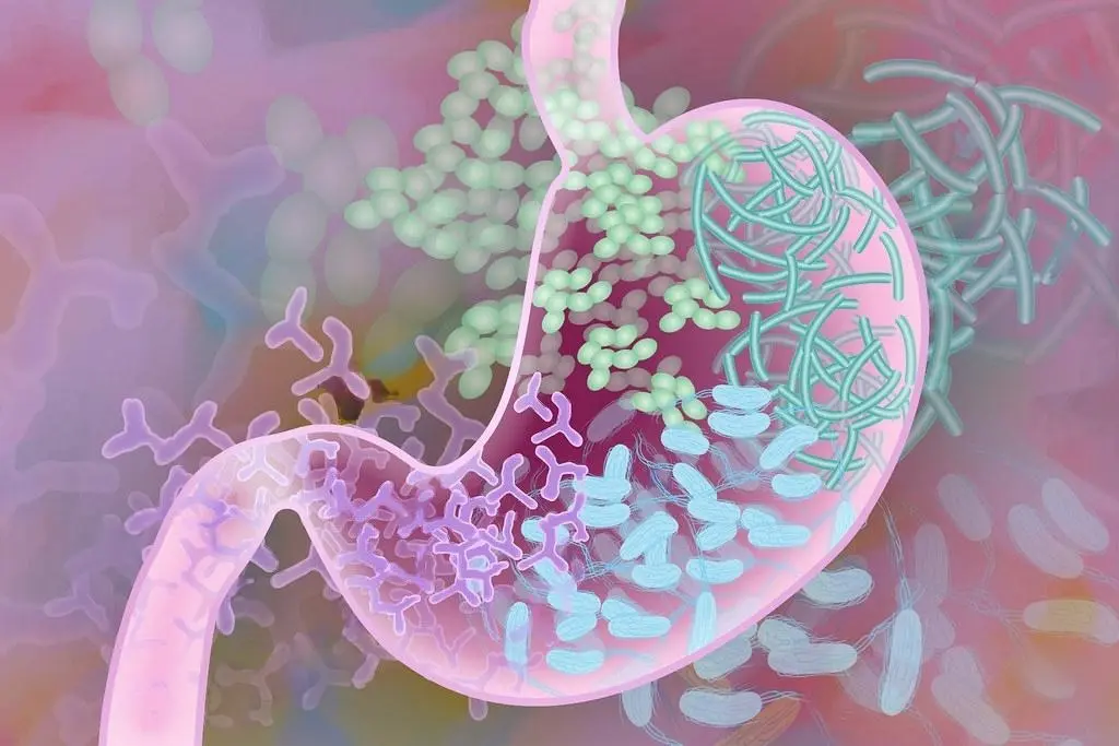 Microbioma Intestinal: Claves para Comprender su Importancia en la Salud